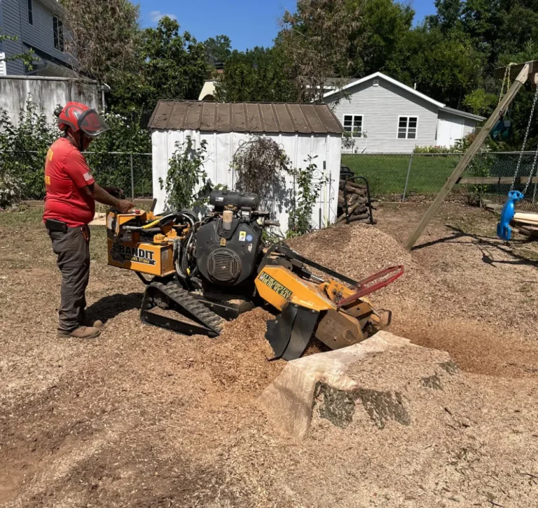 Stump grinding and removal