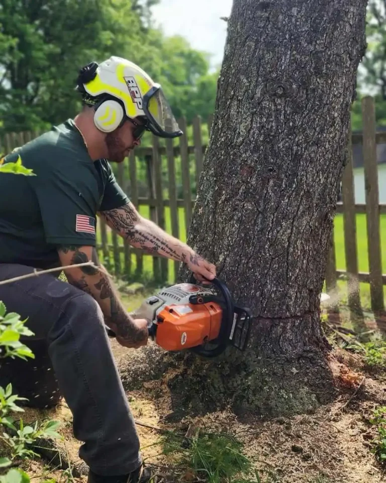 Tree Removal Service