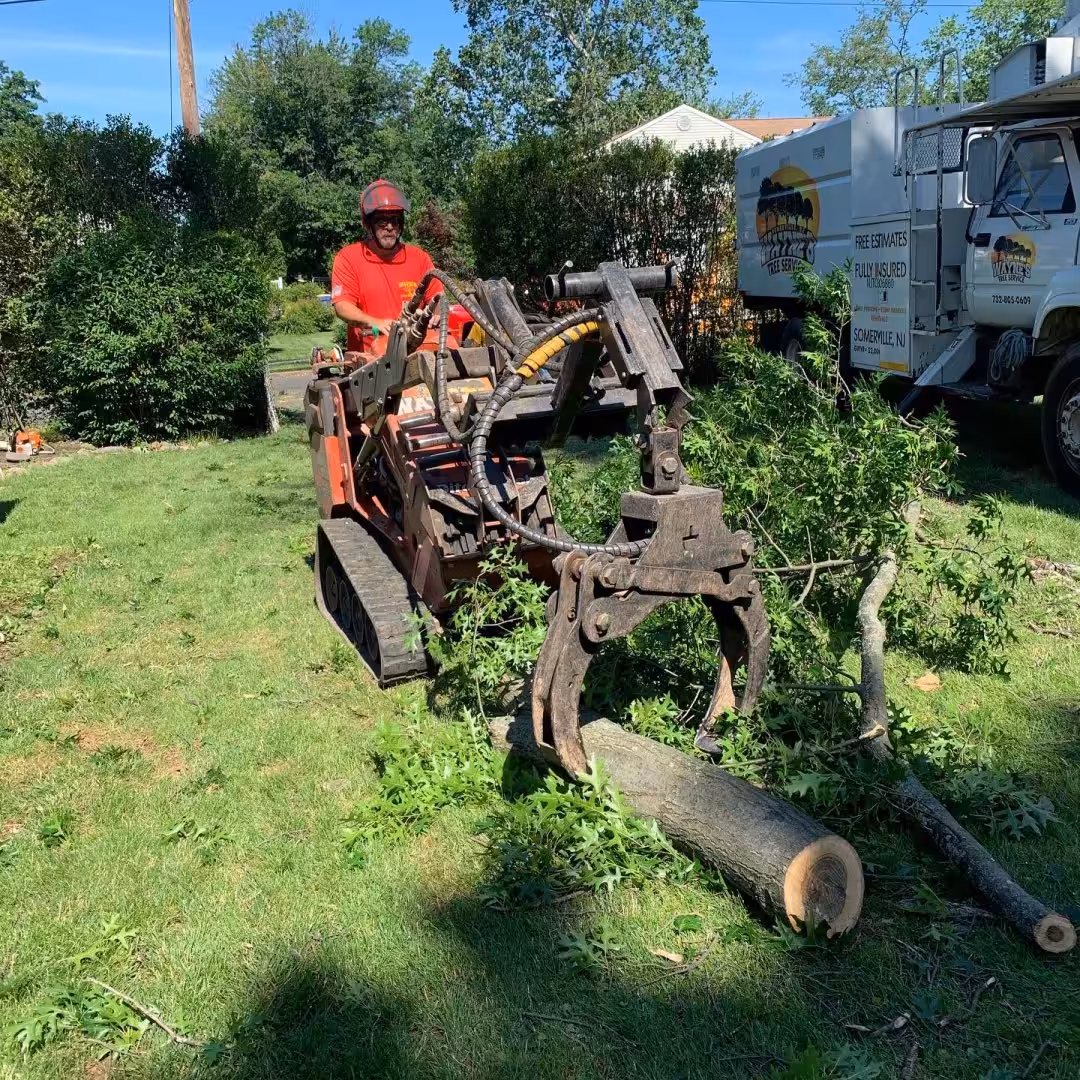 Wayne's truck hauling tree logs — Middlesex NJ