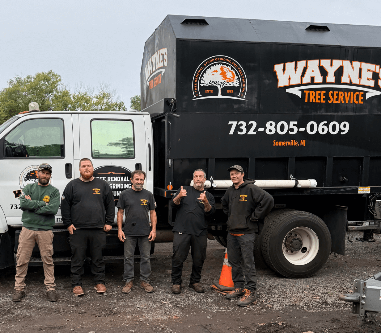 About wayne's tree service