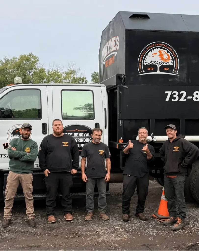 Wayne's Tree Service Crew