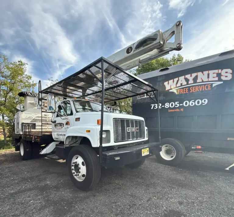 Wayne's crane ready for storm response