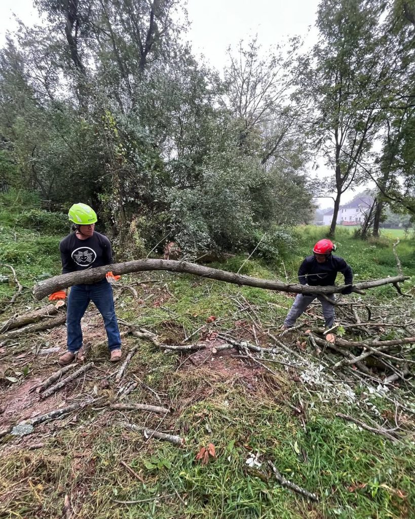 Crew clearing fallen tree branches after storm during emergency tree service in Somerville NJ