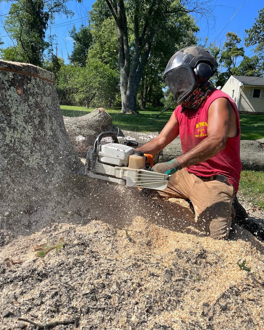 Arborist performing stump grinding in Somerville NJ using professional equipment