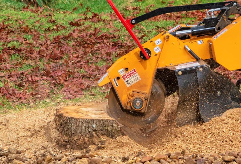 What Is Stump Grinding?