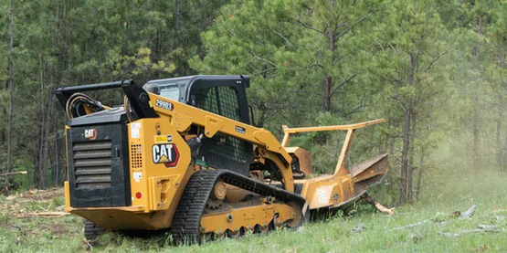 Active Clearing: Trees, Brush & Stumps