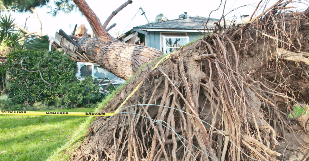 Common Mistakes Somerset County Homeowners Make
