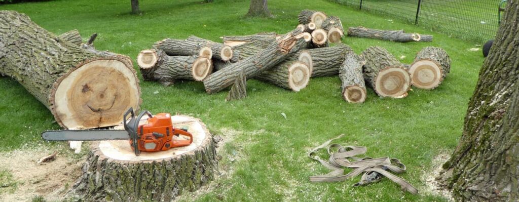NJ Permit Costs Added to Tree Removal (Somerset County 2026)