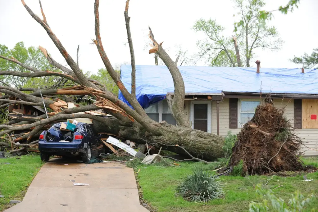 Storm Cleanup for NJ Homeowners