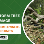 Storm Damage Tree Cleanup: Your Complete NJ Guide