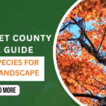 Tree Species Guide for Somerset County: What Grows Best Here