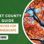 Tree Species Guide for Somerset County: What Grows Best Here