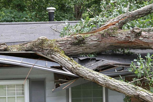 What Happens If an Unlicensed Service Damages Your Property