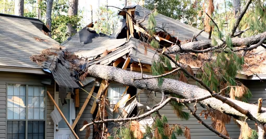What Is Storm Damage Tree Cleanup in NJ