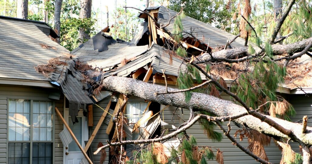 What Is Storm Damage Tree Cleanup in NJ
