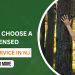 NJ Tree Removal Permits: What Homeowners Need to Know (2026)