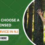 NJ Tree Removal Permits: What Homeowners Need to Know (2026)