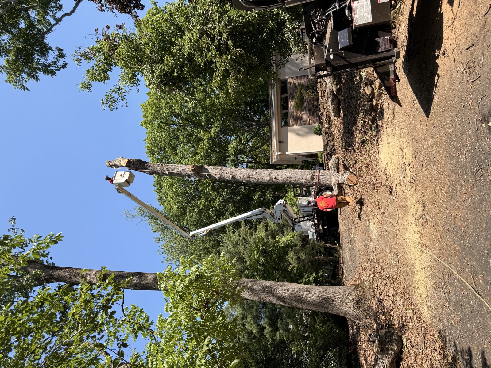Bucket truck assisting tree removal in Middlesex, NJ
