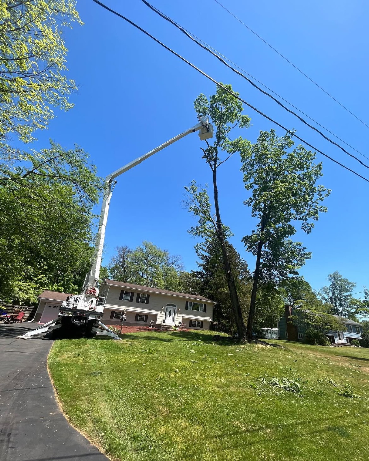 Ground crew clearing removed tree debris — Scotch Plains NJ