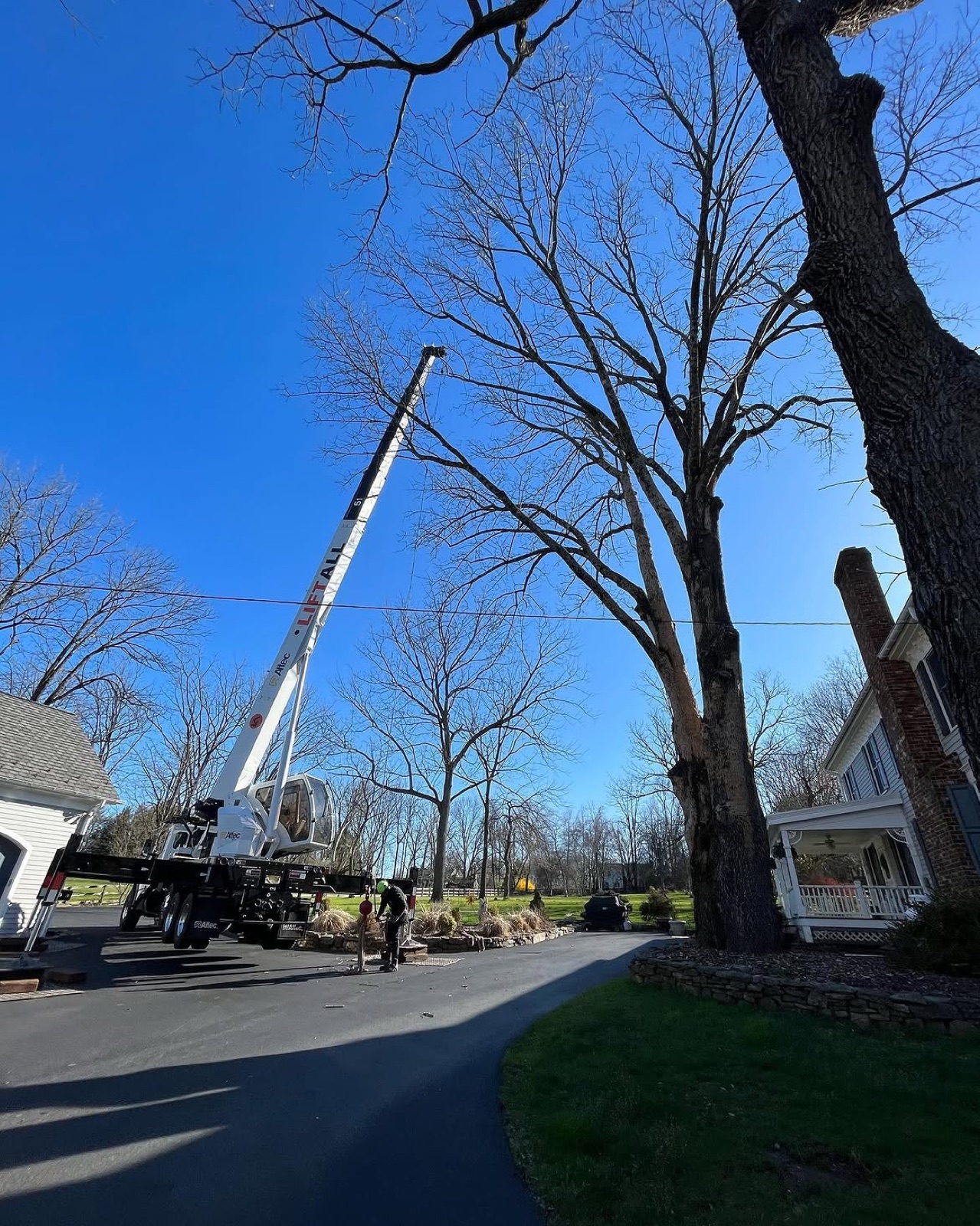 Suburban tree removal completed — Scotch Plains NJ