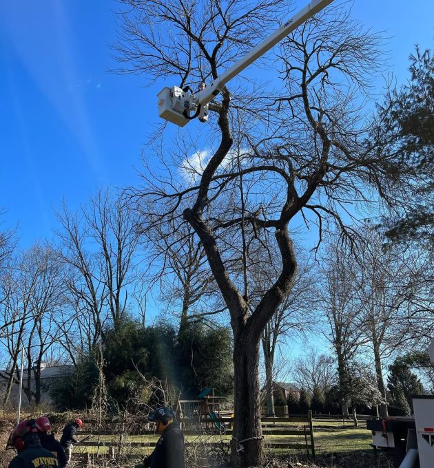 247 emergency tree service in Somerville, NJ Emergency tree removal team operating bucket lift in Somerville NJ