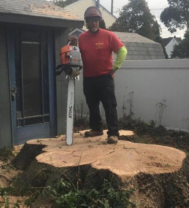 Large Tree Stump Cleared Safely in Somerville, NJ Large Tree Stump Cleared Safely in Somerville, NJ