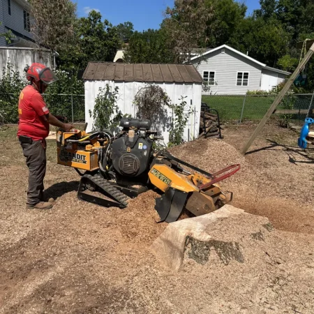 Stump grinding and removal Stump grinding and removal