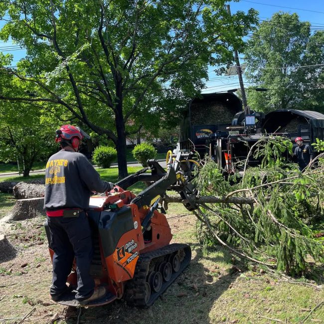 land-clearing-somerville-nj Worker using mini skid steer to clear branches and debris during land clearing in Somerville NJ