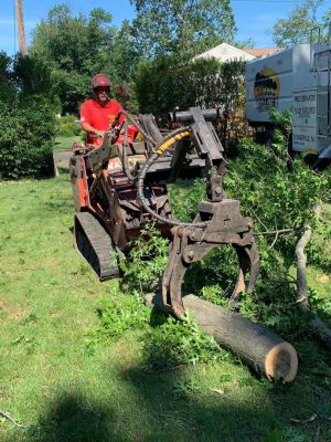 tree log hauling waynes tree service tree log hauling waynes tree service